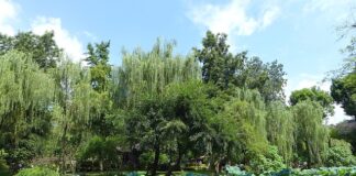 Na czym polega praca zarządcy nieruchomości?