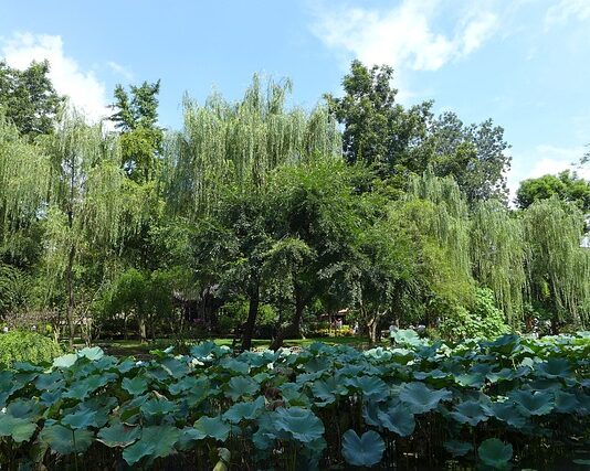 Na czym polega praca zarządcy nieruchomości? Na czym polega praca zarządcy nieruchomości?