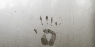 Co to jest identyfikacja wizualna firmy?