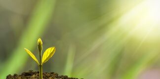 Co wpływa na rozwój firmy? Co wpływa na rozwój firmy?