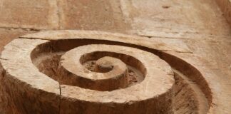 Jakie ulgi w ZUS dla rozpoczynających działalność?