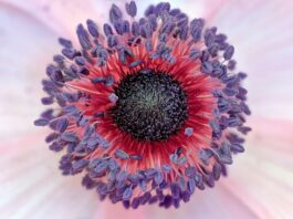 Jakie są prawa i obowiązki właściciela i zarządcy nieruchomości?