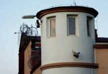 Co oznacza paragraf 4850?