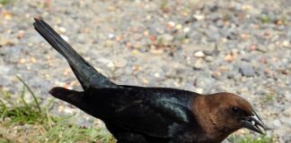 Jaki jest najgorszy rodzaj śmieci? Jaki jest najgorszy rodzaj śmieci?