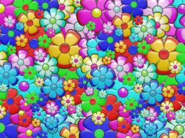 Czy Woodstock jest płatny?