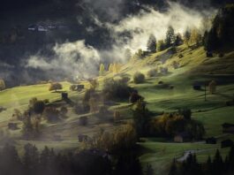 Czy domy dziecka przyjmują zabawki?