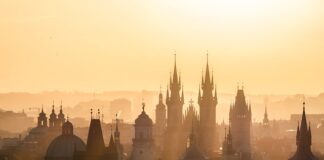 Jakie są cele zarządzania? Jakie są cele zarządzania?