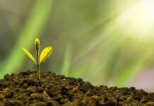 Jak zabawki wpływają na rozwój dziecka?