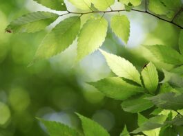 Z czego żyje państwo?