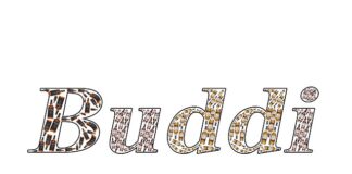 Co zgłaszamy do BDO?