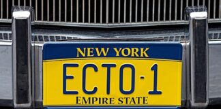 Kto nadaje licencję zarządcy nieruchomości?