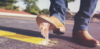 Czy trzeba płacić za śmieci jak się nie mieszka?