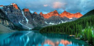 Jaki typ urody mają Ukrainki?