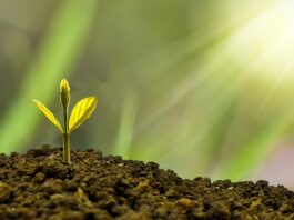 Co złe wpływa na rozwój dziecka?